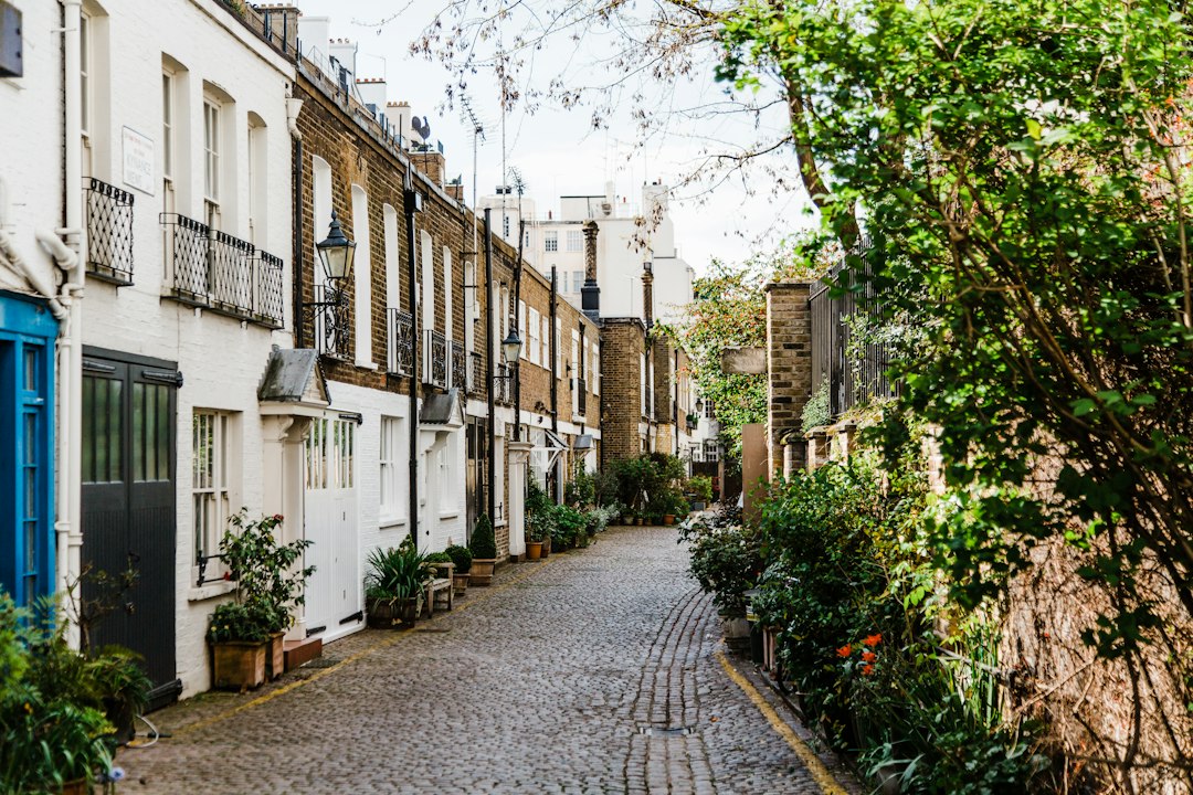 A London mews street, photographed by Bruno Martins. Editorial illustration, not a property listing.